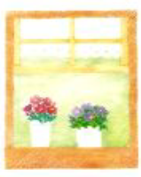 窓の花
